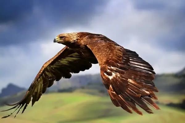 اختتامیه چهارمین کنگره بین‌المللی امام رضا (ع) در مشهد