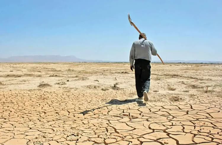ترند