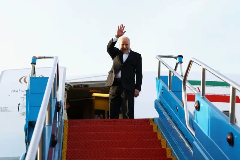 رئیس مجلس صبح امروز برازیلیا را به مقصد تهران ترک کرد
