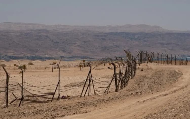 ترند