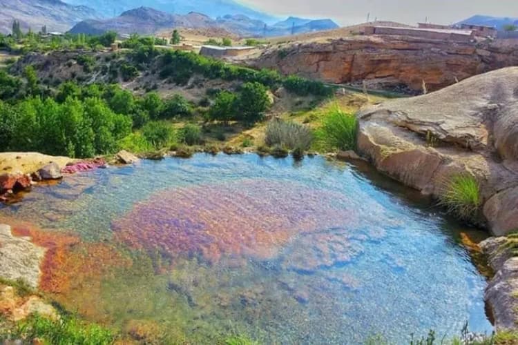 کشف جسد دختر بچه گمشده در قرچک؛ ۶ نفر بازداشت شدند