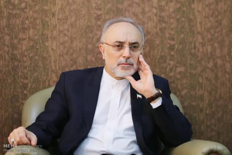 حقوق کارمندان سه سازمان براساس میزان کارکرد ، پرداخت می شود 