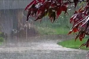 افزایش دمای هوا در گلستان تا دوشنبه؛ آغاز بارش و کاهش دما از سه‌شنبه