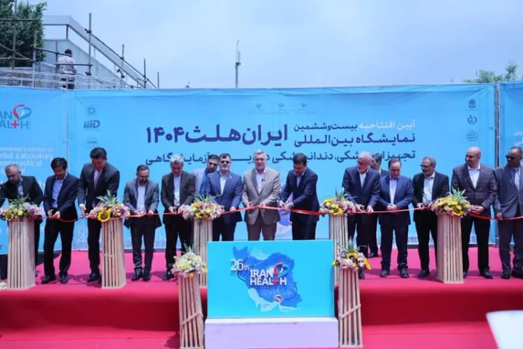 خسارت بیمه را فوری بگیرید؛ همه چیز درباره سرویس خسارت آنی بیمه بازار