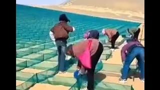 چین با این تکنیک، بیابان را به زمین سبز تبدیل کرد