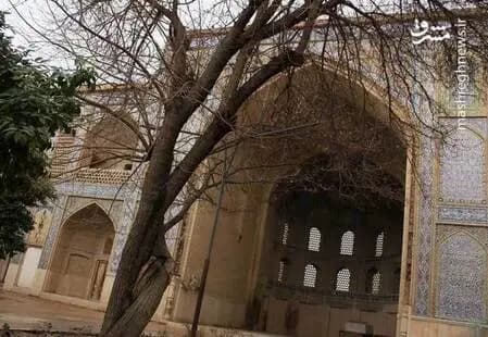 ترند