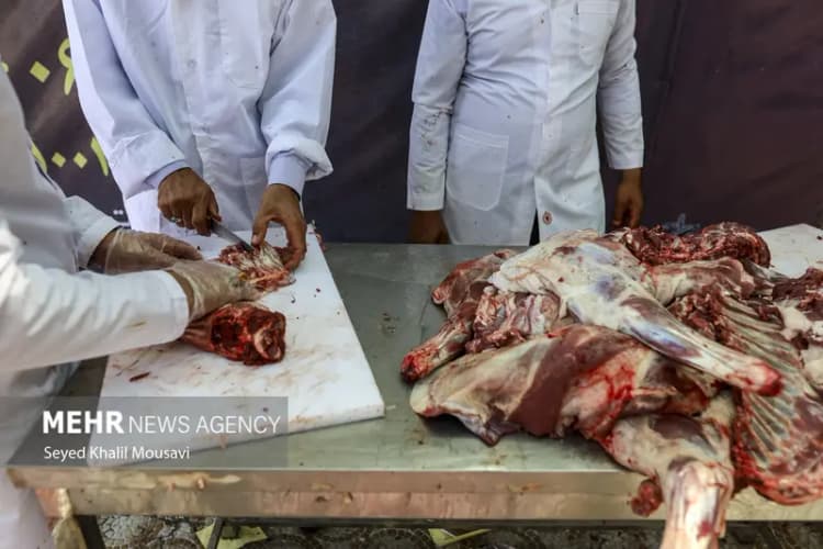 آیت الله حسینی بوشهری: تبریز خاستگاه شخصیت‌های بزرگ علمی و دینی است