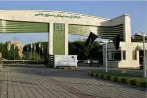 ترند
