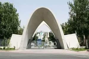 ترند