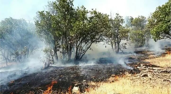 غرق‌ شدن جوان اردبیلی در رودخانه باجی‌گوابر چابکسر