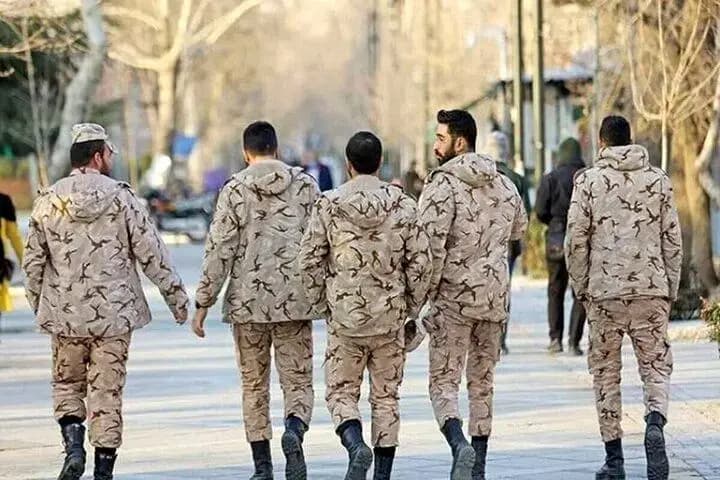 یک مار ۲ متری برای انتقام به روستایی در خراسان حمله کرد!