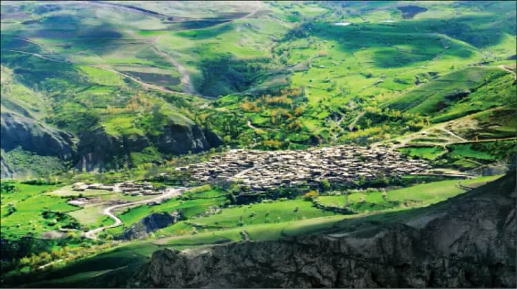 چرا شیرخشک کمیاب می‌شود؟