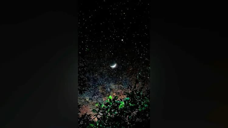 فیلم شاهکار خوانندگی آهنگ گلوبند عرفان طهماسبی در اولین کنسرت رسمی اش بدون ذره ای استرس/ تو رقص ماه و کارون جنون عشق مجنونی !
