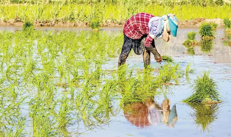 لزوم توجه به پتانسیل انرژی‌های نو