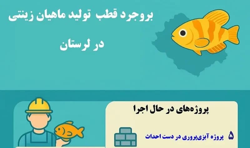 اینفوگرافیک| «بروجرد» قطب تولید ماهیان زینتی در لرستان