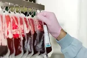 خون بنفش در راه است/برخی ها متفاوت می شوند 