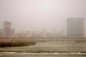سگ‌گردانی در ایلام ممنوع شد