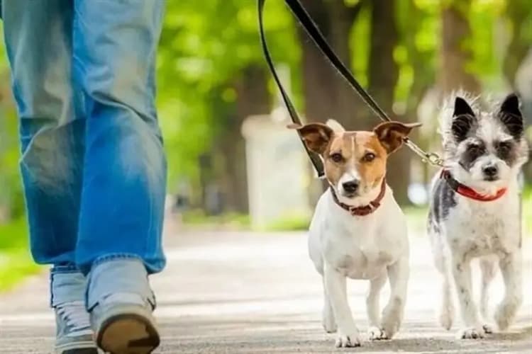 مدارس غیردولتی گرانتر می‌شوند؟/ جزئیات جدید از شهریه‌ های ۱۴۰۴