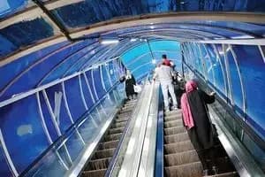 این مواد غذایی جوانی پوست را نابود می‌کند