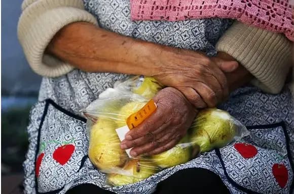 سگ گردانی در جنوب تهران هم ممنوع شد
