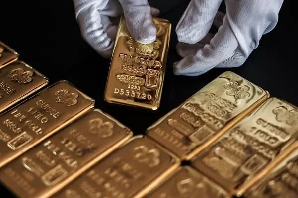 قیمت روز گوشت قرمز اعلام شد؛ گوشت گوسفندی، هر کیلو  1میلیون