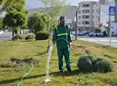 تقویم اردیبهشت ماه ۱۴۰۴ + تعطیلات رسمی