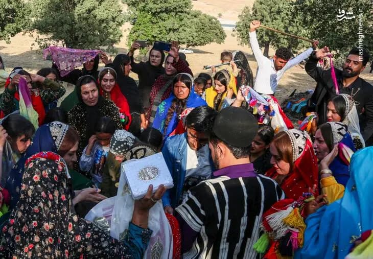 توقیف خودروی نوجوان 14 ساله به‌دلیل تخلفات رانندگی در تبریز