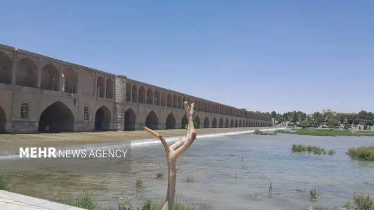 ترند