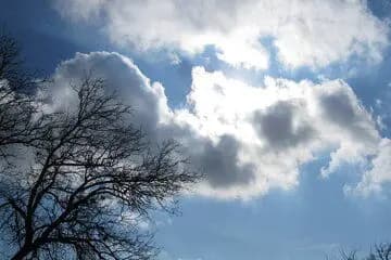 هواشناسی استان تهران اطلاعیه داد