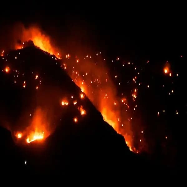 آیا با فوت موجر و مستأجر، قرارداد اجاره باطل می‌شود؟