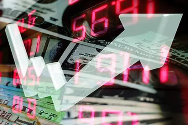 لزوم نگاه سیستمی در مدیریت اقتصاد؛ تجربه و دانش، هر دو لازم است