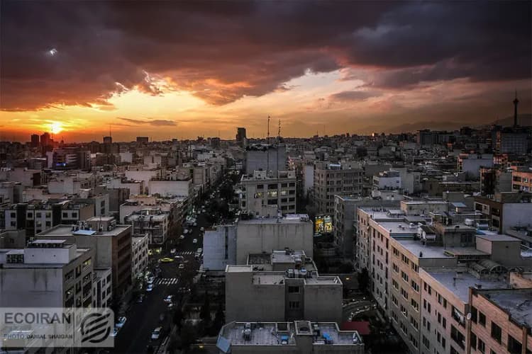ترند